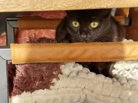 /album/06-03-2026/whatsapp-image-2026-03-06-at-10-00-05-1-jpeg/